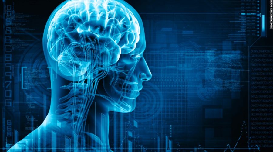 Creating a Personal Brain Training Program to Postpone Cognitive Decline